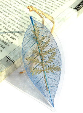 福禄考三色堇蜗牛原创叶脉小菊花
