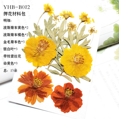 Diy材料包小压花干花贴脸妆摄影写真滴胶手机壳生日贺卡真花手工 虎窝淘