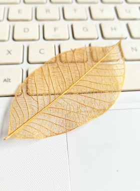 金银色橡胶菩提金刚叶脉真树叶