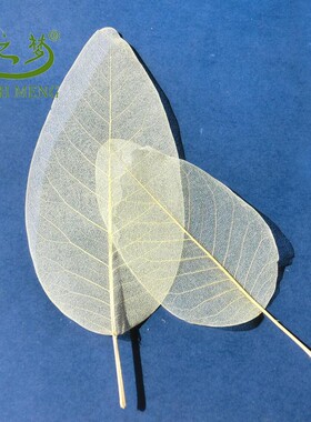 diy干花玉兰绘画儿童手工刺绣