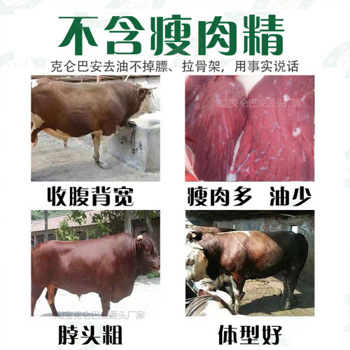 克仑巴安猪牛羊催肥饲料添加剂促生长预混料养殖专用催肥增重 - 图0