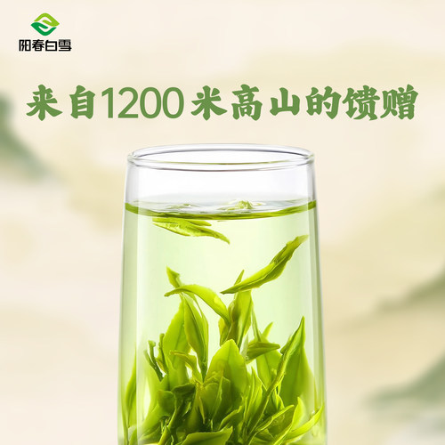 阳春白雪2026新茶湄潭毛峰毛尖绿茶遵义高山浓香型茶叶散茶口粮茶 - 图1