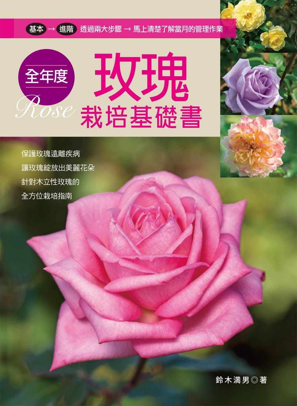 玫瑰土壤 新人首单立减十元 21年7月 淘宝海外