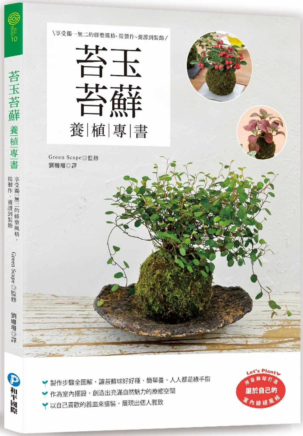 苔玉 置物 Www Bloompsychologyservices Com