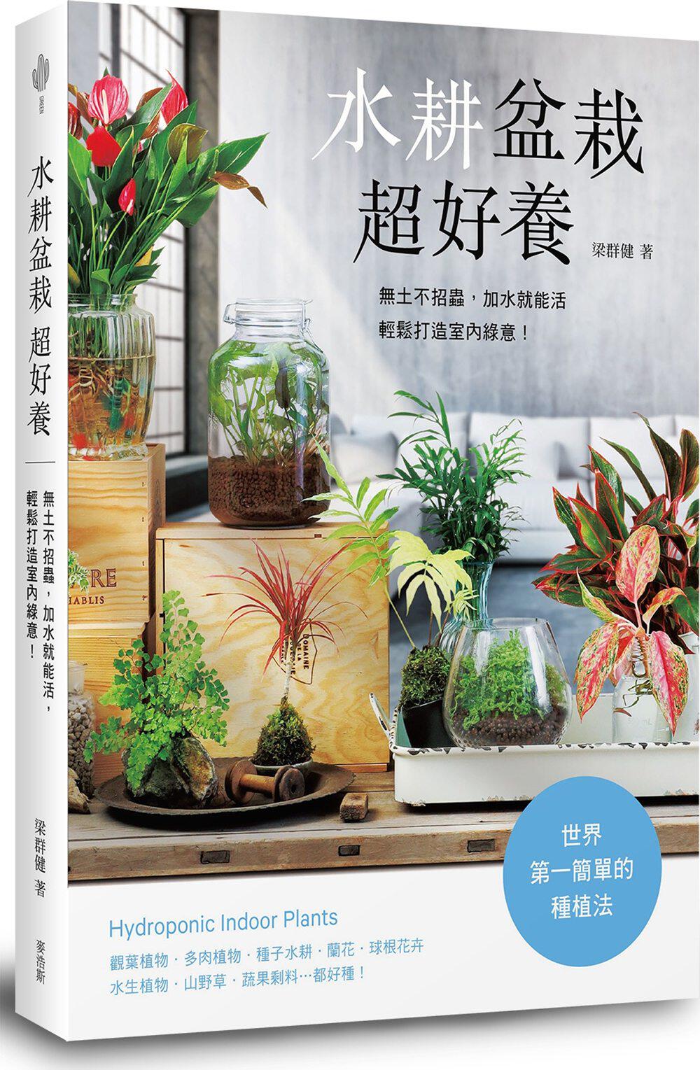 果种子盆栽包邮 新人首单立减十元 21年7月 淘宝海外