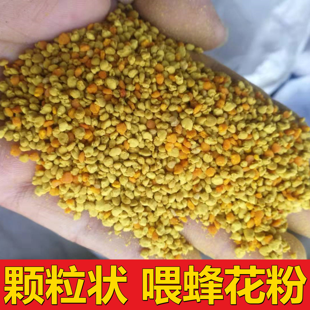 蜜蜂饲料喂蜂花粉养蜂天然油菜杂粉颗粒状越冬蜂粮中意蜂专用包邮-图0