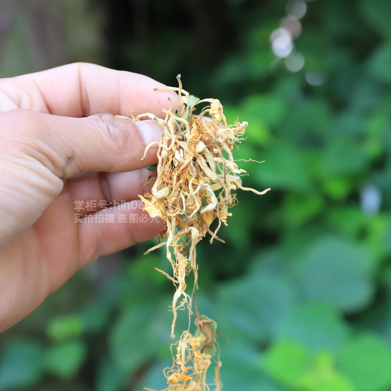 金银花中草药材500g农家无硫散装金银花茶金花茶干花花茶清火茶