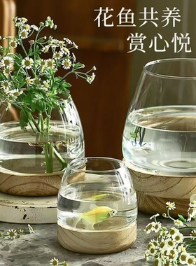 创意木托透明玻璃小鱼缸水草泥造景微景观 客厅桌面水培植物摆件