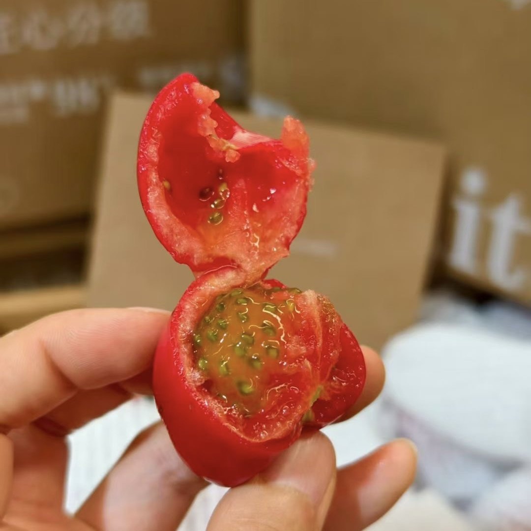 钱袋番茄高糖水果西红柿原种引进甜生吃小柿子味浓自然熟京东快递,淘宝优惠券,粉丝福利购,淘宝优惠卷