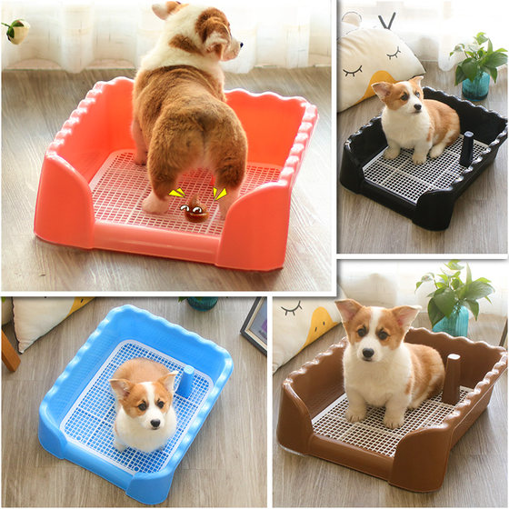 Puppy poops and Teddy sand basin and diaper does not wet the toilet