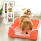 Puppy poops and Teddy sand basin and diaper does not wet the toilet