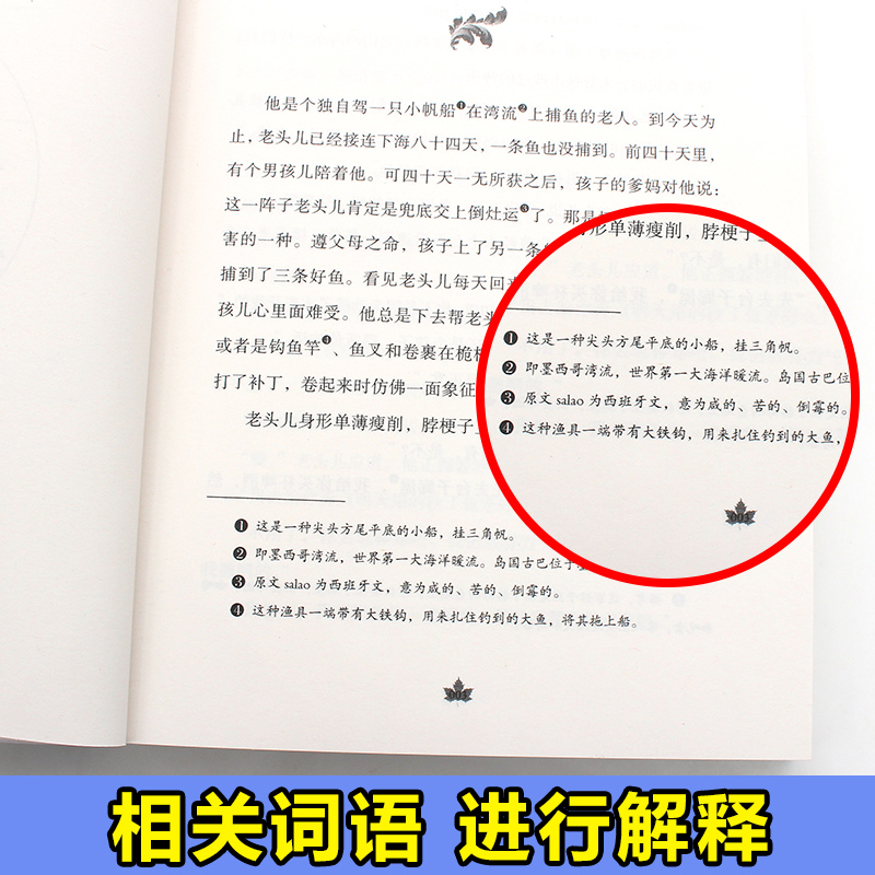 老人与海正版包邮书全本无删减海明威原版原著中英文双语对照全译本世界名著中小学青少年课外阅读世界经典名著畅销文学小说排行榜 - 图0