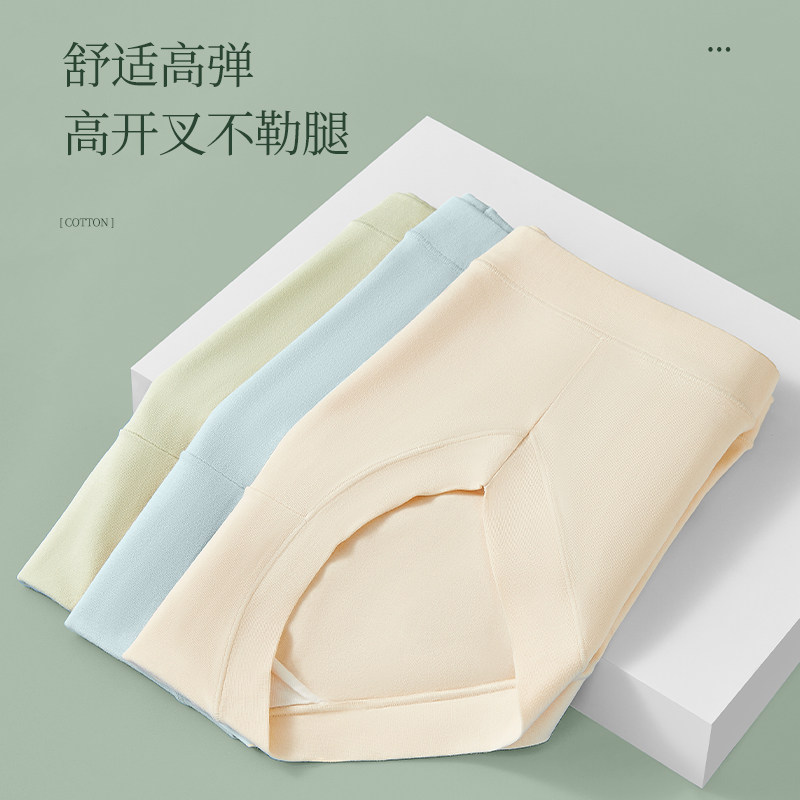  三枪杭州女三角裤