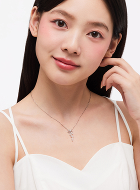 卡蒂罗荆棘玫瑰项链女轻奢高级精致锁骨链小众百搭新款生日礼物