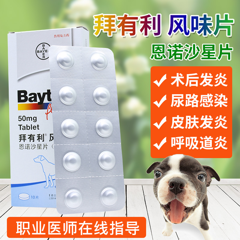 Baytril 拜有利风味片50mg 15mg宠物狗狗犬猫抗生素宠物消药炎 - 图1