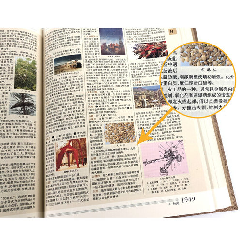 正版包邮 辞海第六版典藏本精装彩图本辞海第6版全9册 辞海彩图版 上海辞书汉语辞典工具书 辞海精装版全套正版 辞海 - 图2