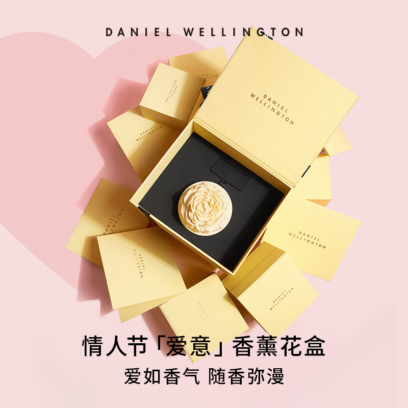 dw情侣同款petite系列轻奢36石英表 danielwellington欧美腕表