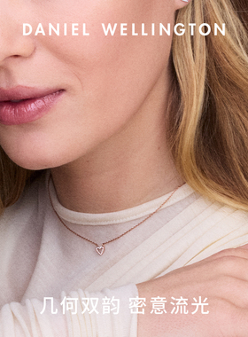 DW流光符号锆石项链时尚闪耀