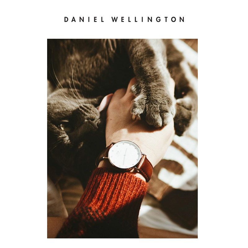 dw 镶钻皮带石英女表 34mm DanielWellington 丹尼尔惠灵顿 手表 dw 镶钻皮带石英女表 34mm DanielWellington 丹尼尔惠灵顿 手表