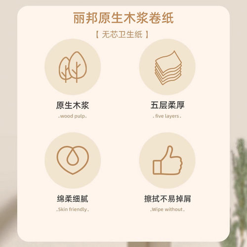 丽邦卫生纸卷纸18大卷整箱家用实惠装厕所纸巾手纸无芯卷筒纸厕纸 - 图0