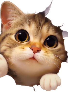 可爱创意3D小猫贴纸自带胶