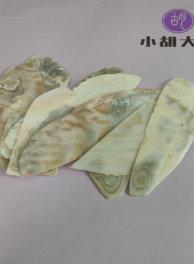 螺钿新西兰贝壳纸 漆艺镶嵌螺钿贝壳漆器漆艺漆画专用 镶嵌材料