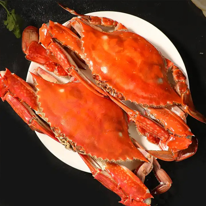 【保鲜不保活】丹东飞蟹梭子蟹大母螃蟹飞蟹满肉满黄冰鲜梭子蟹,淘宝优惠券,粉丝福利购,淘宝优惠卷