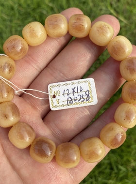 驼骨介绍辨别真假保