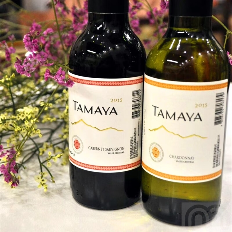 TAMAYA智利原瓶进口红酒 大玛雅品牌187毫升*6瓶 瓶 赤霞珠+莎当 - 图2