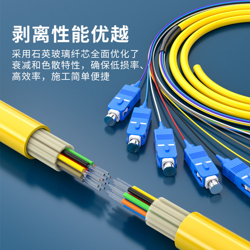 YOUYSI 12芯束状尾纤SC方头单模光纤跳线电信级可订做FC束状尾纤ST束状尾纤带状尾纤 - 图3