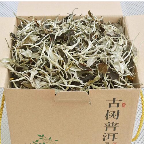 景谷白茶正宗月光白秧塔月光美人古树茶2025年明前春茶直销500克 - 图0