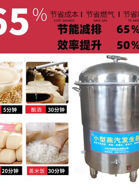 蒸汽机节能电热燃气做豆腐