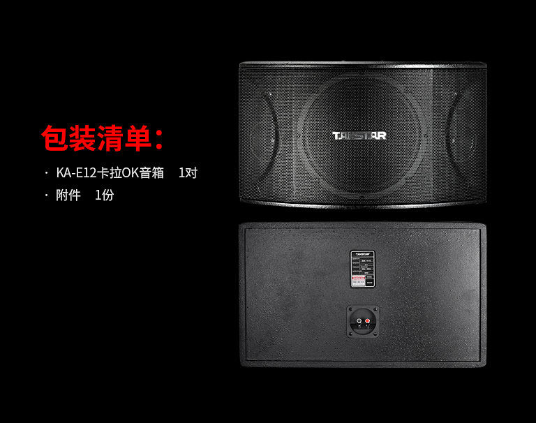 takstar /得胜ka-e12拉ok ktv音响 得胜世纪鸿真KTV/卡拉OK音箱