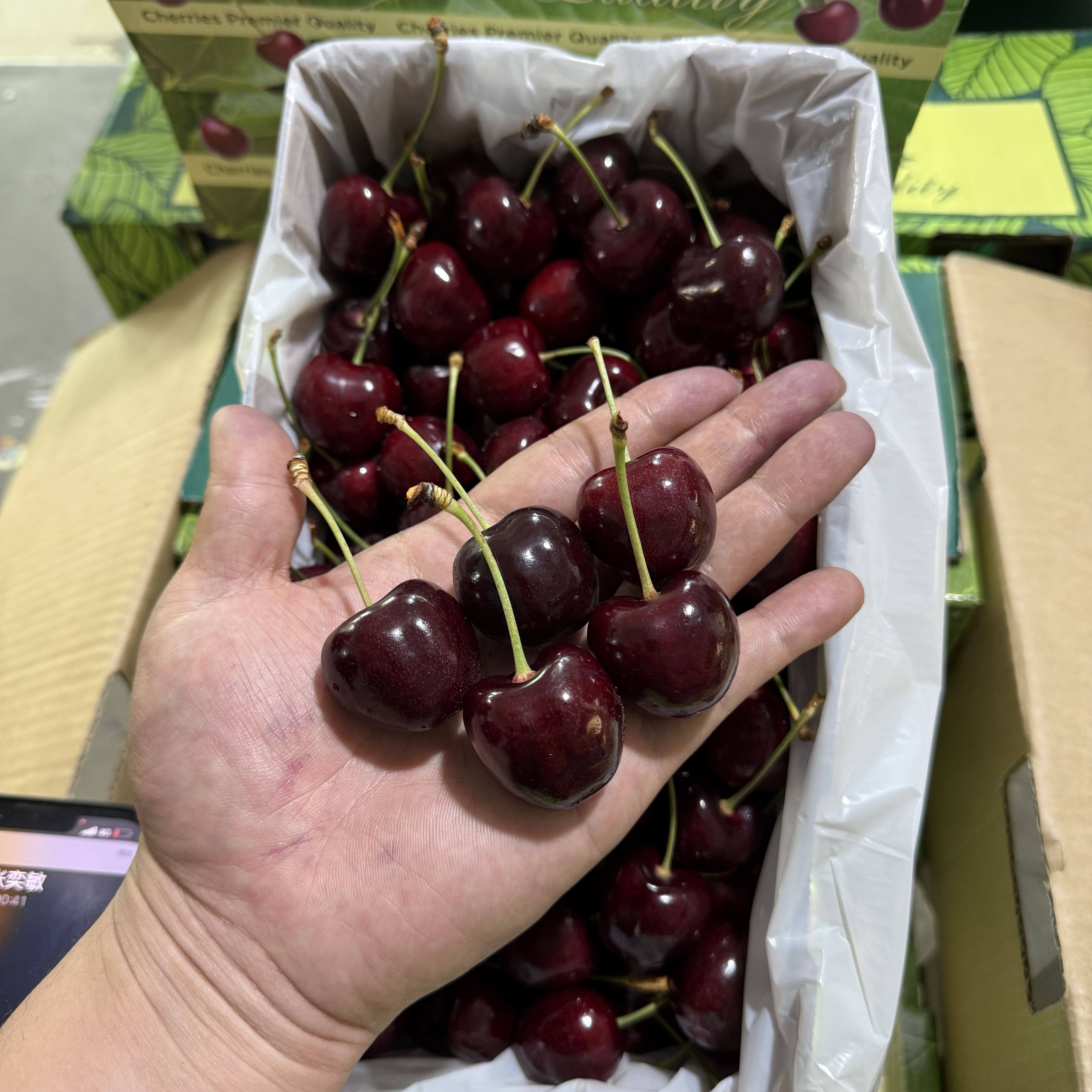 （礼盒送礼）新西兰亚尼士车厘子4斤原箱当季新鲜樱桃进口水果,淘宝优惠券,粉丝福利购,淘宝优惠卷