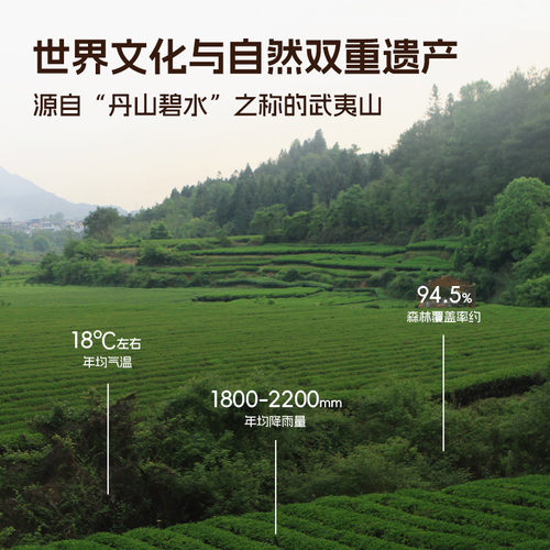 【赠茶器】孝文家茶醇香大红袍岩茶口粮武夷茶叶乌龙茶大红袍60泡 - 图3