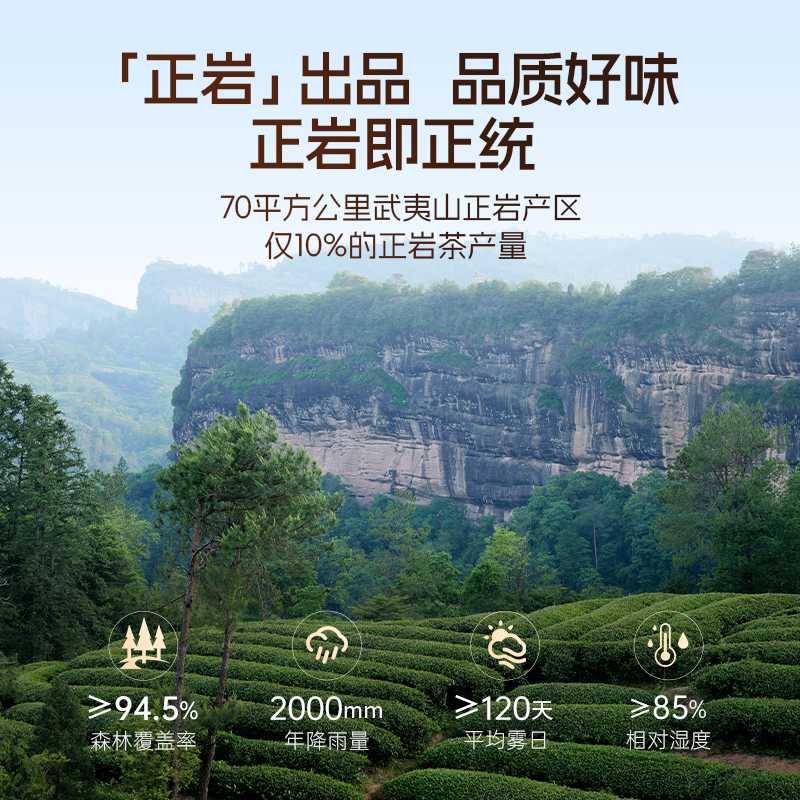 【过节礼盒】孝文家茶携山3000武夷岩茶肉桂大红袍正岩茶叶水仙,淘宝优惠券,粉丝福利购,淘宝优惠卷