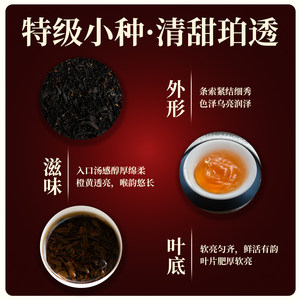 骏德茶叶武夷山桐木关红茶桂圆汤松烟香切割工艺 特级正山小种50g
