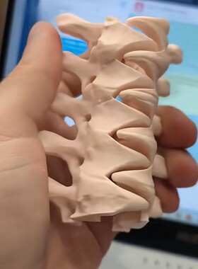 简约3D打印脊椎鲨鱼夹百搭盘发