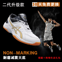 Longstanding Brands Professional Volleyball Shoes Non-slip Abrasion Resistant Sports Training Shoes Men And Women Breathable Damping Badminton Shoes Handball