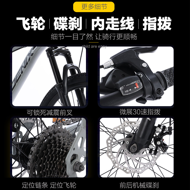 凤凰牌男学生女变速轻便成人山地车 天地运动山地自行车