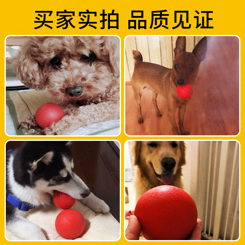 狗狗玩具球耐咬磨牙弹力实心球马犬训练球大狗玩具解闷逗狗神器-图2