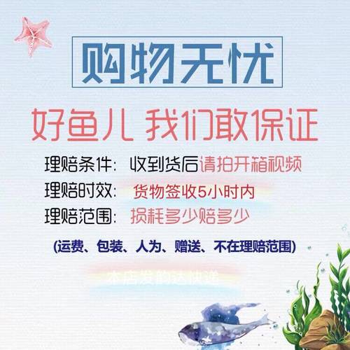 七星鱼幼苗月鳢鱼山斑鱼花星鱼观赏鱼雷龙鱼冷水鱼淡水活体包邮 - 图2