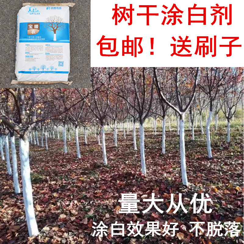 树木涂白剂 果树刷白防虫防冻代替石灰水 树木防虫涂白剂果树涂白 - 图0