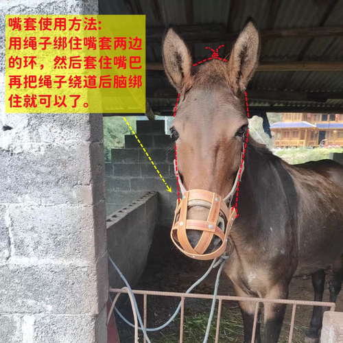 牛嘴套 牛嘴笼 马嘴套 马嘴罩 马笼套 马具 牛具  防止乱吃乱咬人 - 图2
