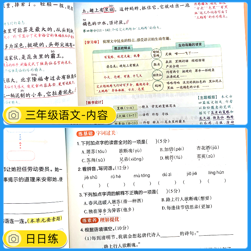 2024春状元语文笔记数学笔记三四五六下册一二年级上册人教版状元大课堂同步课本练习教材全解小学学霸课前预习英语状元笔记