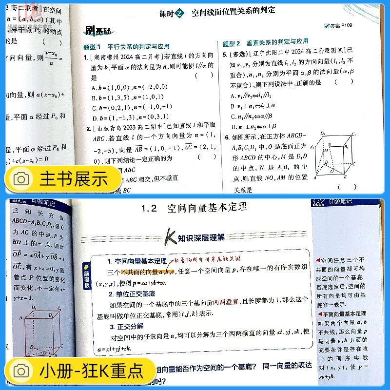 2025/2024高中必刷题语文数学英语物理化学生物地理历史政治必修选择性必修第一册二三四册高一高二上册下册必刷题同步训练练习册-图2