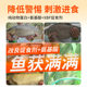 Western Style Fruit Sour Corn Beef B Fruit Sour Jade