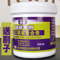 Tree Wound Healing Agent Plant Fruit Tree Graft Basin View Tree Stump Coating Tonic Green Material Miao Wood Cut Closure Paste