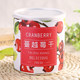 Taiwan Zhuxiang Cranberry Candied Dried Fruit