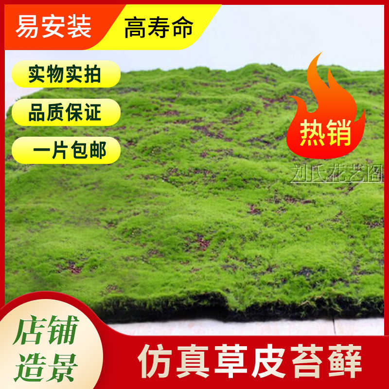 苔盆栽 新人首单立减十元 21年7月 淘宝海外